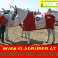 SUSANNE Kladruber Horse from Altenfelden